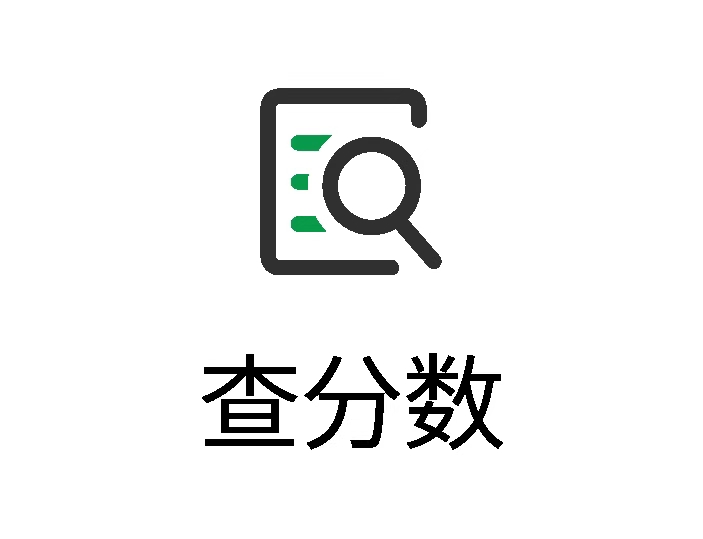 查分数