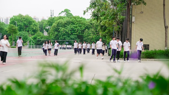 技能证书等级会影响3+证书报考吗？