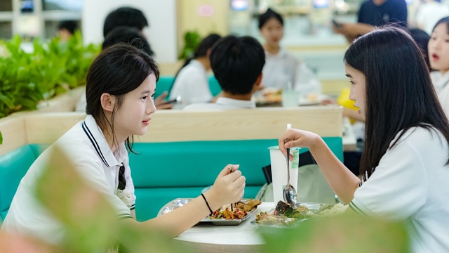 广东现代学徒制试点工作方案概述