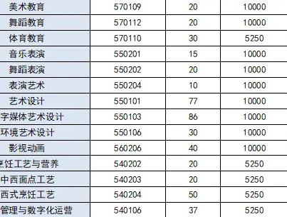 广东省外语艺术职业学院 | 2026年自主招生计划