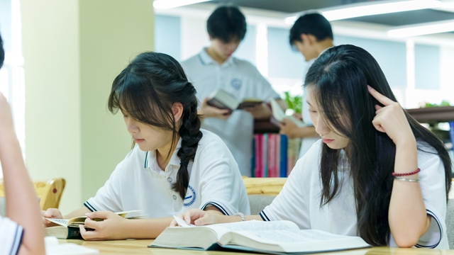 3+证书志愿怎么填不浪费分数：冲稳保梯度+征集志愿补救